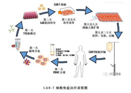 car-t 細胞免疫治療流程圖